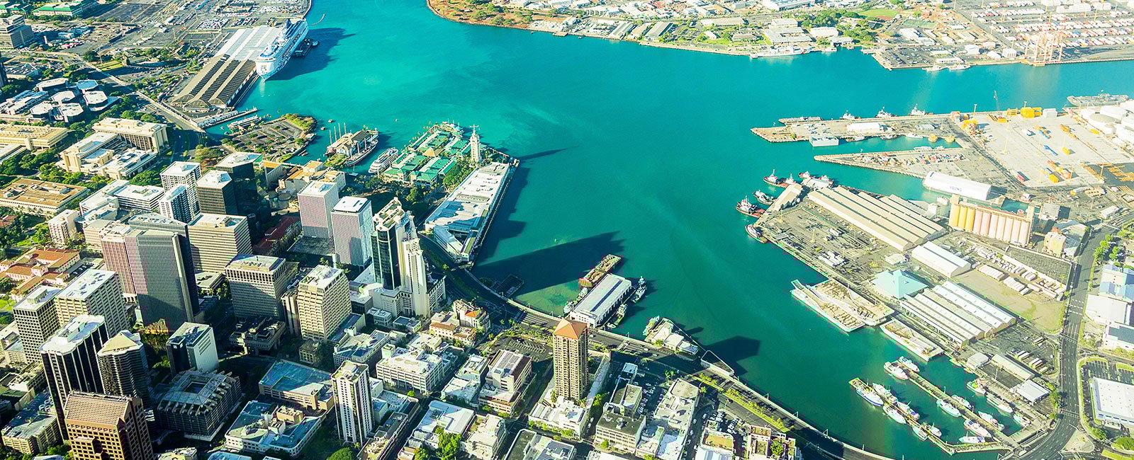 plastic-surgery-hawaii-hero-1 Coastal city with tall buildings