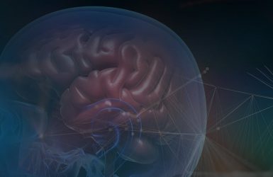Transparent human head showing brain