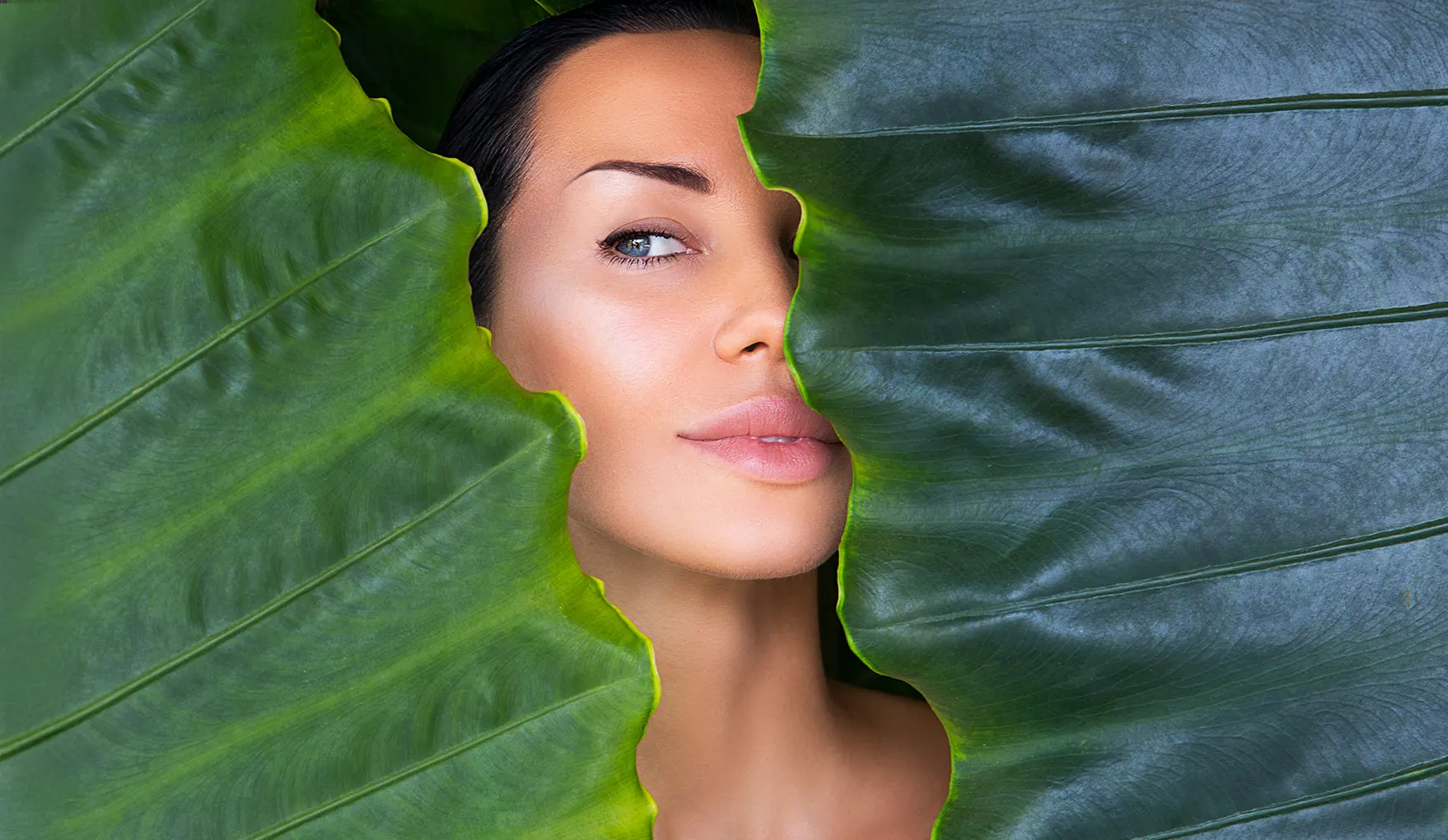 Patient Registration