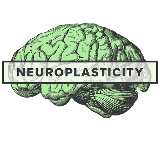 neuroplasticity-ketamine