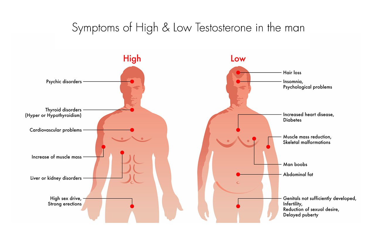 The symptoms & effects of high or low testosterone levels in men.