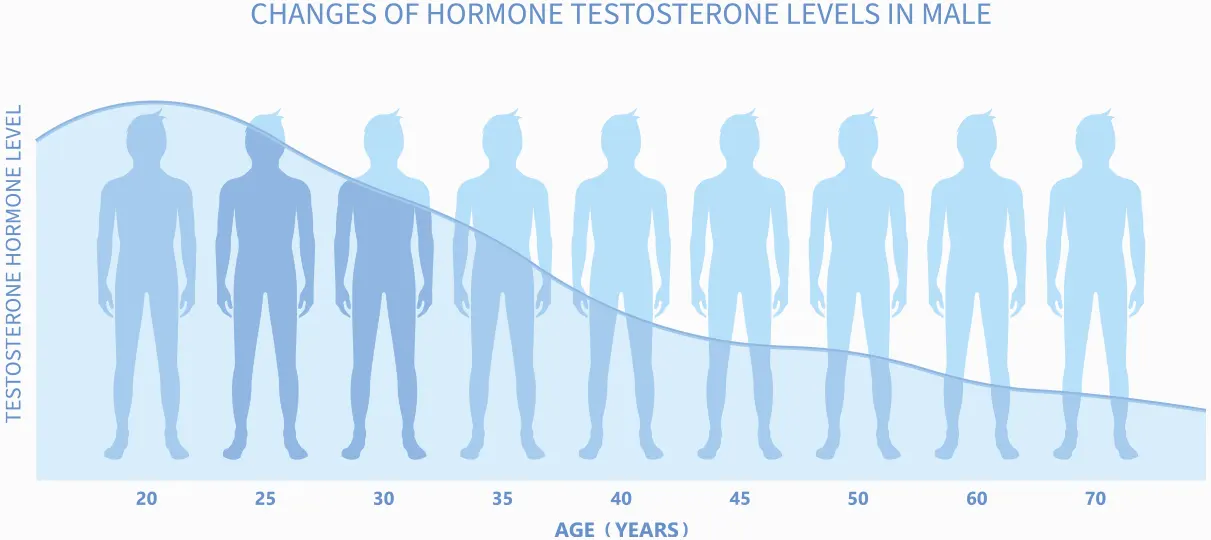 Chart showing the decline of testosterone levels in men by age, from peak levels in early adulthood through progressive decline in the 30s, 40s, 50s, and beyond